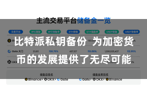 比特派私钥备份  为加密货币的发展提供了无尽可能
