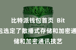 比特派钱包首页  Bitpie钱包选定了散播式存储和加密通讯技艺
