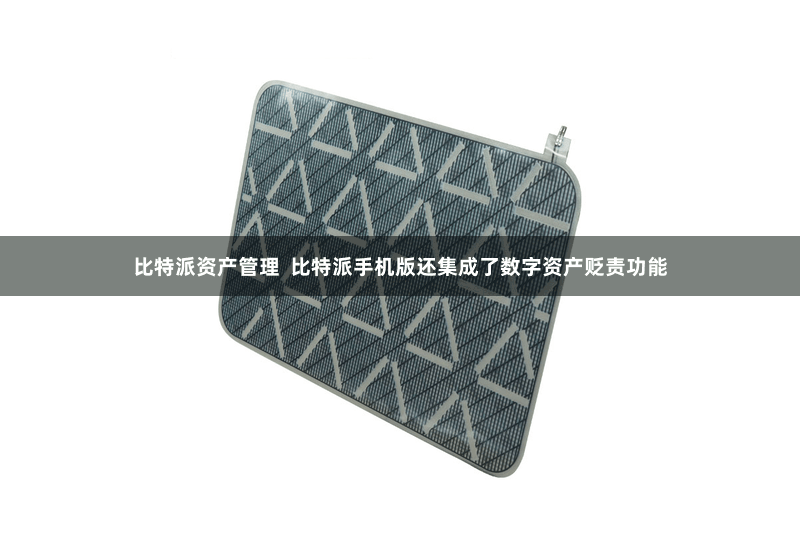 比特派资产管理  比特派手机版还集成了数字资产贬责功能