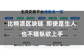 比特派区块链  即使是生人也不错纵欲上手