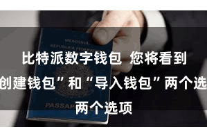 比特派数字钱包  您将看到“创建钱包”和“导入钱包”两个选项