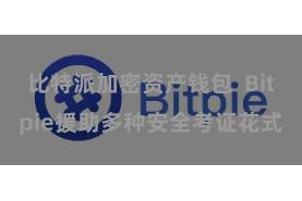 比特派加密资产钱包  Bitpie援助多种安全考证花式