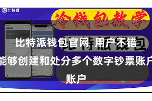 比特派钱包官网  用户不错能够创建和处分多个数字钞票账户