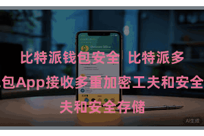比特派钱包安全  比特派多链钱包App接收多重加密工夫和安全存储