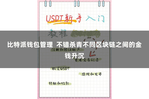 比特派钱包管理  不错杀青不同区块链之间的金钱升沉